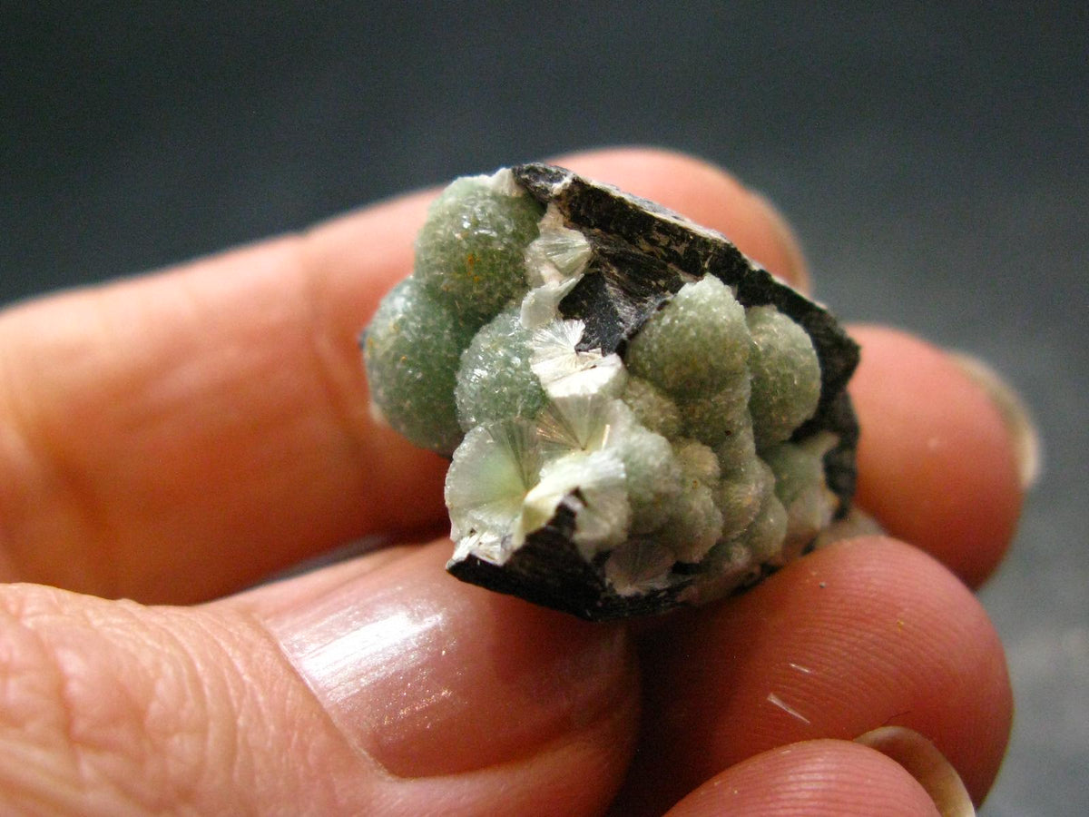 Rare Wavellite Cluster From Arkansas, USA - 0.9"