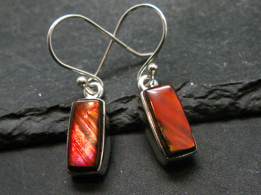 Ammolite Amolite Sterling Silver Earrings From Canada - 1.1"