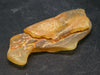 Large Raw Amber Piece From Colombia - 10 Grams - 2.7"