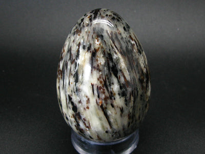 Astrophylite Astrophyllite Egg From Russia - 3.4"