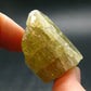 Large Gold Apatite Crysatl from Mexico - 41.44 Grams - 1.5"