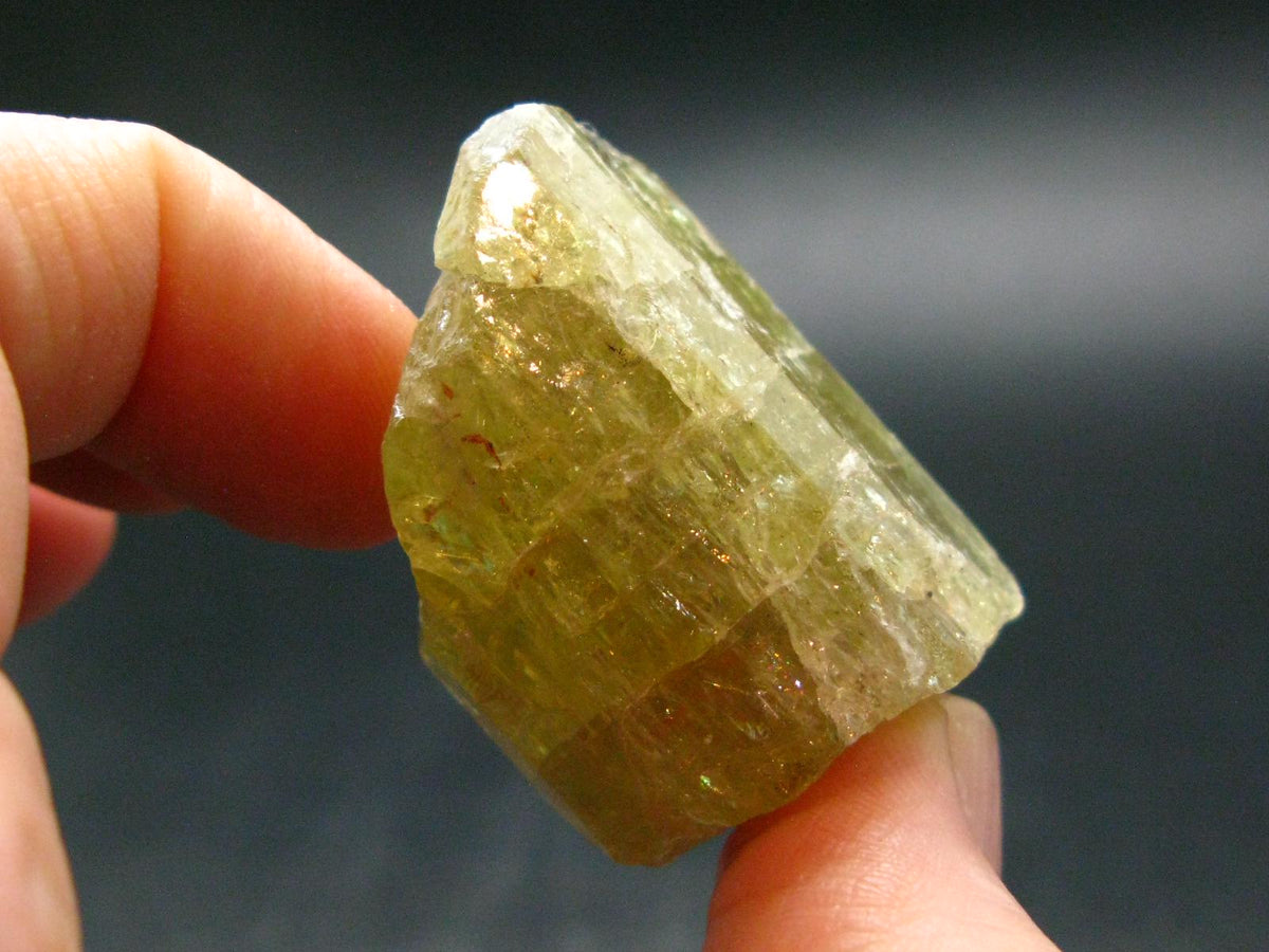 Large Gold Apatite Crysatl from Mexico - 41.44 Grams - 1.5"