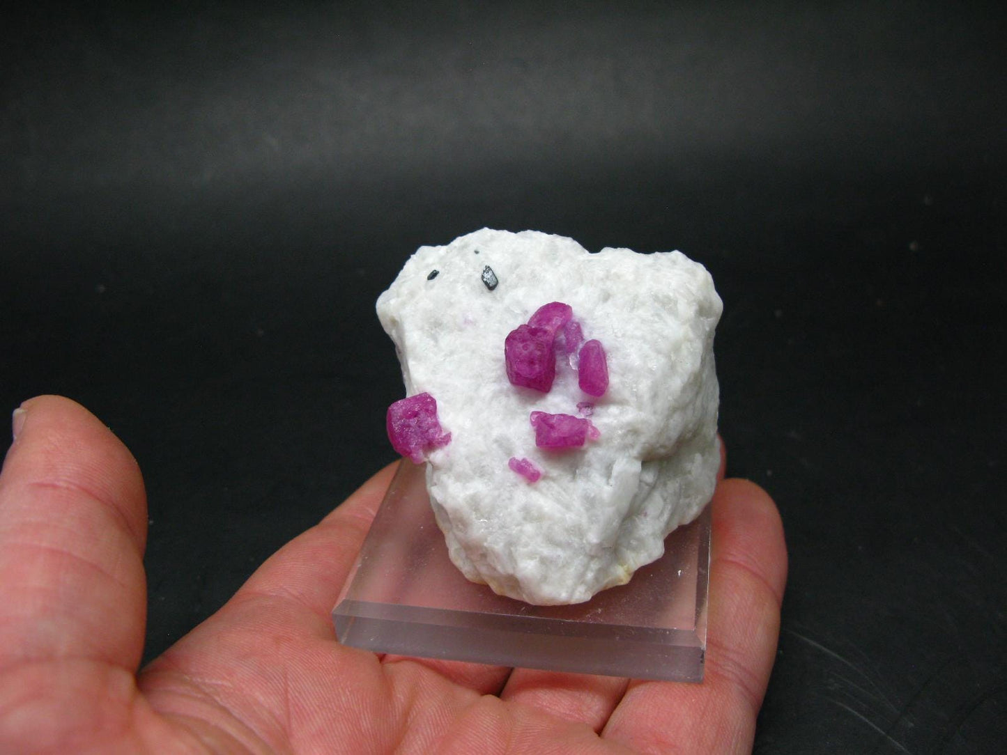 Stunning Ruby Cluster on Matrix from Afghanistan - 2.5" - 123 Grams