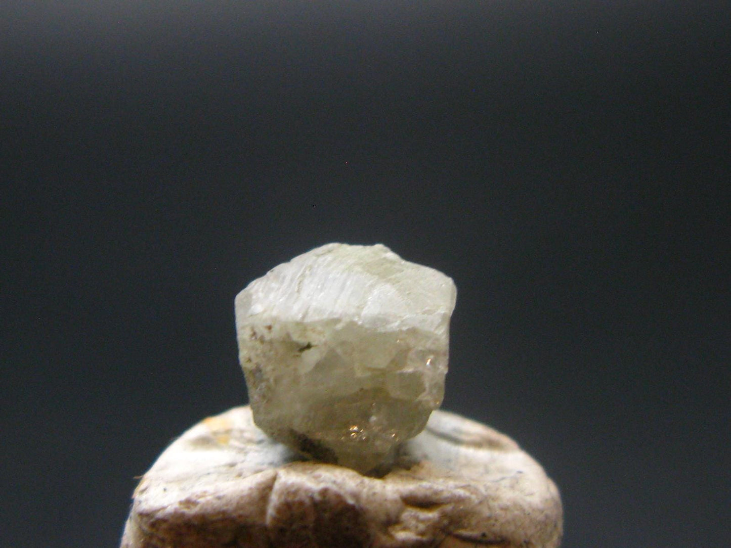 Phenakite Phenacite Crystal From Brazil - 0.38 Grams - 0.2"