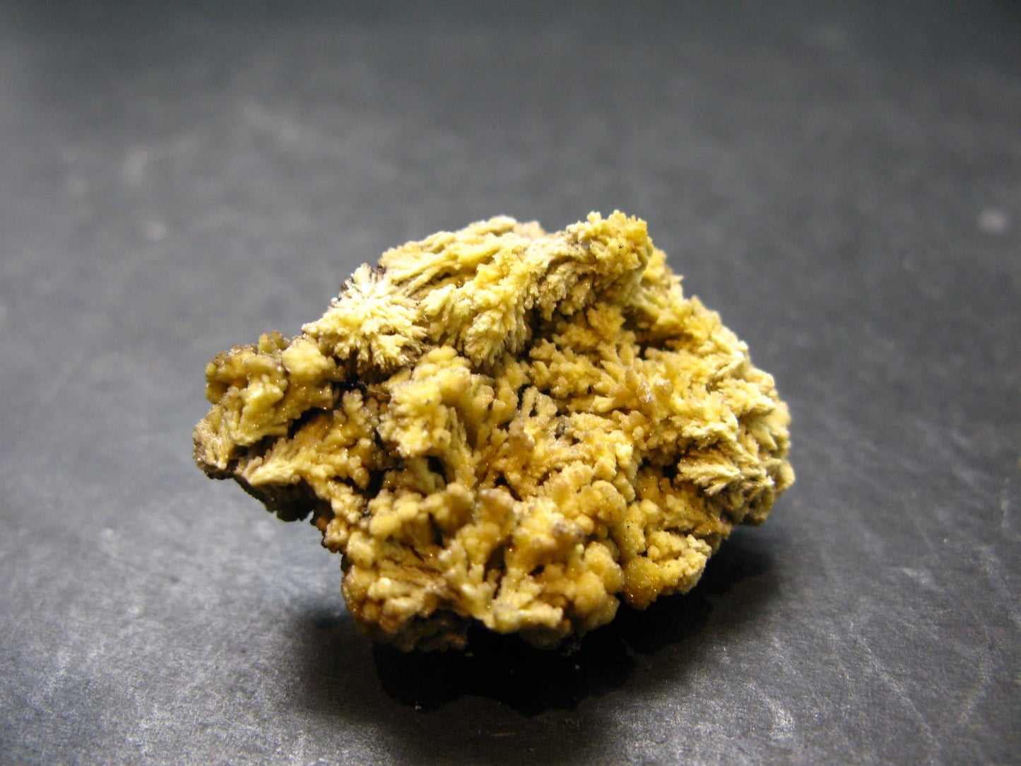 Nice Large Yellow Mimetite Cluster from Mexico - 1.5"