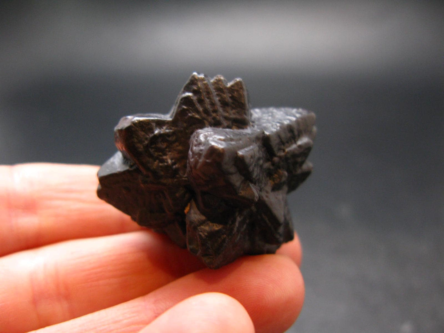 Very rare Z-Stone (Limonite after Marcasite) from Sahara Dessert, Egypt - 1.4" - 32.24 Grams