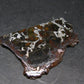 Large Brahin Meteorite Pallasite Olivine Slice From Belarus - 2.4" - 8.82 Grams