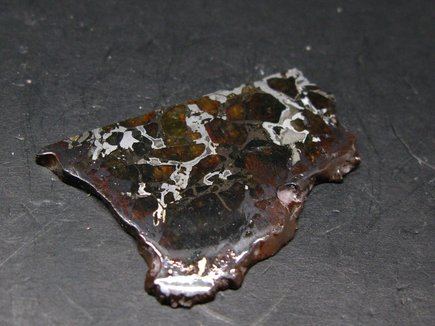 Large Brahin Meteorite Pallasite Olivine Slice From Belarus - 2.4" - 8.82 Grams