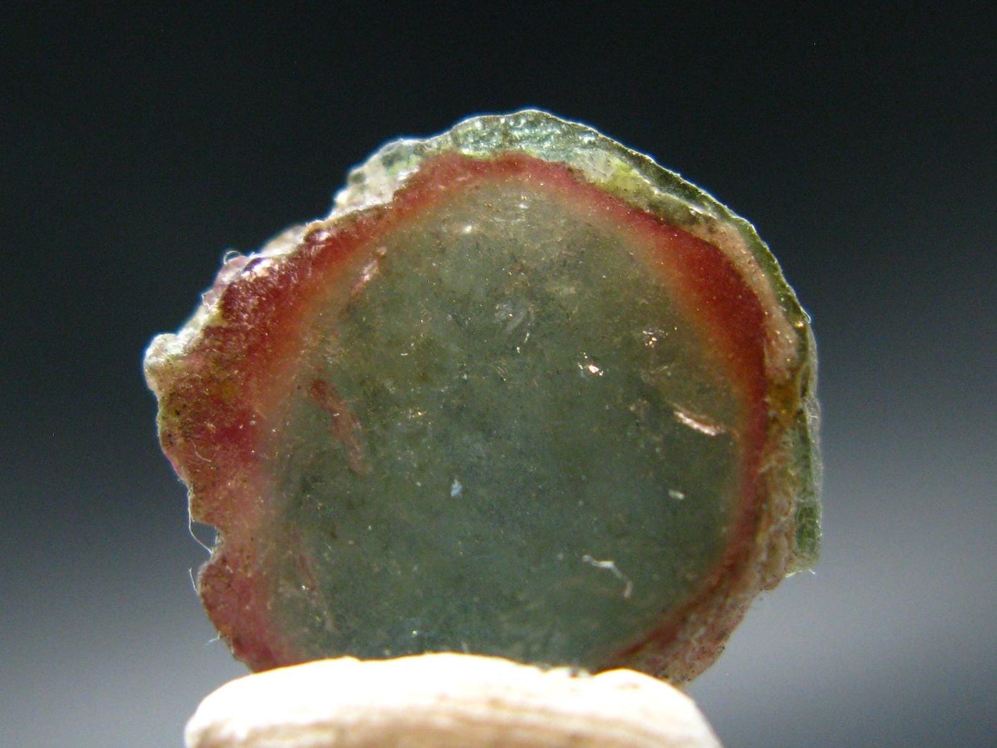 Rare Watermelon Tourmaline Crystal Slice From Brazil - 7.01 Carats