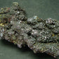 Rare Proustite Cluster From Morocco - 2.5"