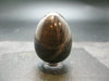 Genuine Sapphire Corundum Egg from India - 316.5 Carats - 1.5"