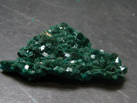 Very Nice Dioptase Cluster from Congo - 2.0" - 8.58 Grams
