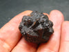 Very rare Z-Stone (Limonite after Marcasite) from Sahara Dessert, Egypt - 1.1" - 21.4 Grams