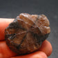 Andalusite Chiastolite Crystal From China - 1.4" - 22.12 Grams