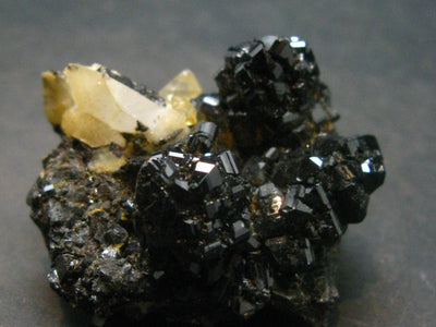 Cassiterite Crystal From Bolivia - 1.4" - 59.53 Grams