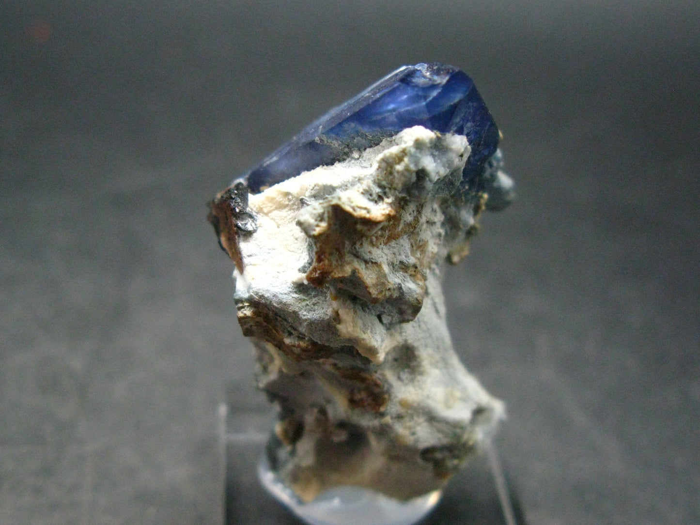 Benitoite and Neptunite on Natrolite Cluster From California - 1.7"