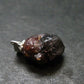 Rare Zircon Crystal Silver Pendant From Tanzania - 0.7" - 2.04 Grams