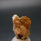 Wulfenite Cluster From Arizona - 0.7"