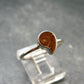 Natural Whole Polished Agatized Ammonite Cleoniceras Sterling Silver Ring from Madagascar - 1.77 Grams - Size 8
