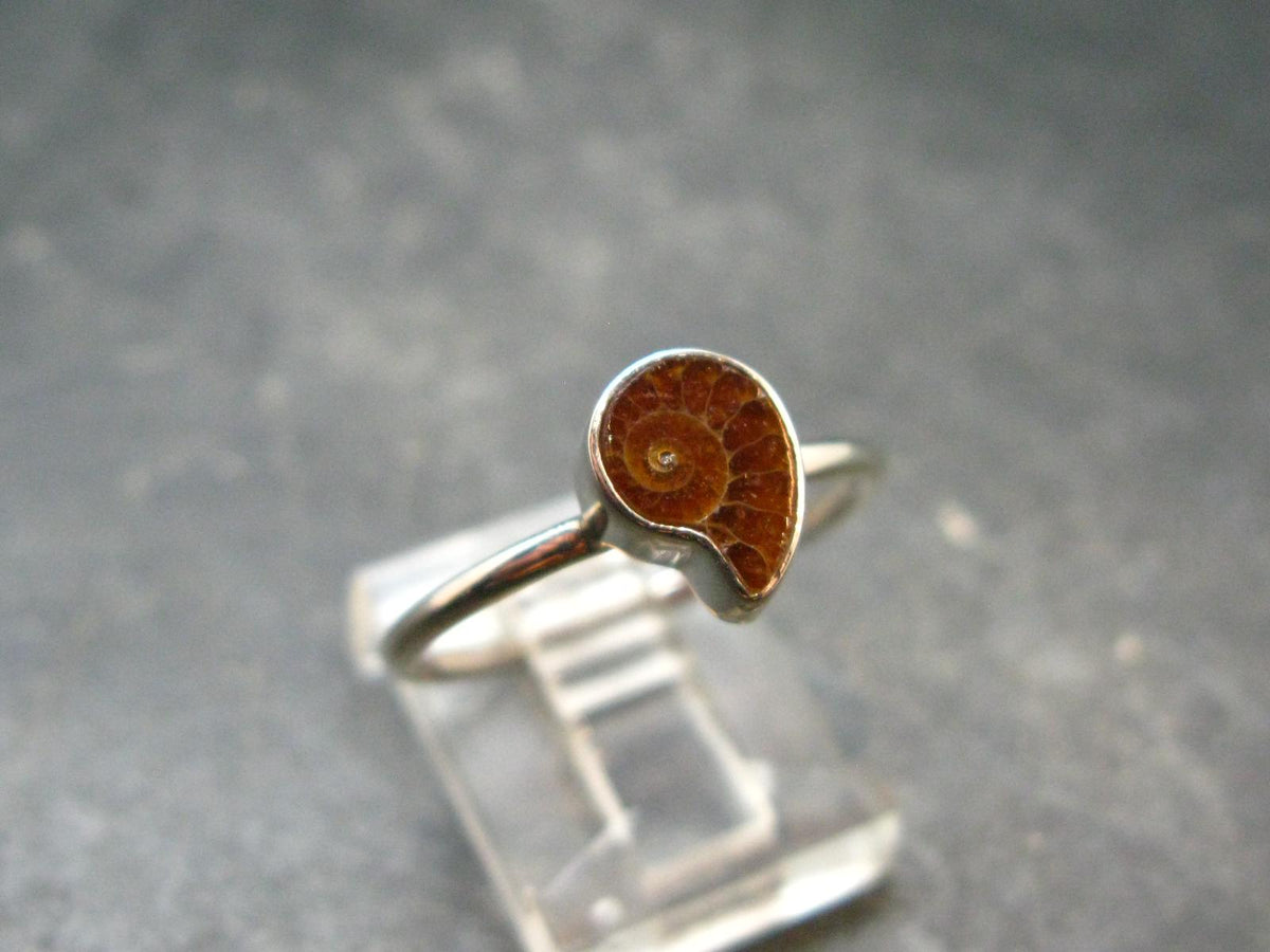 Natural Whole Polished Agatized Ammonite Cleoniceras Sterling Silver Ring from Madagascar - 1.77 Grams - Size 8