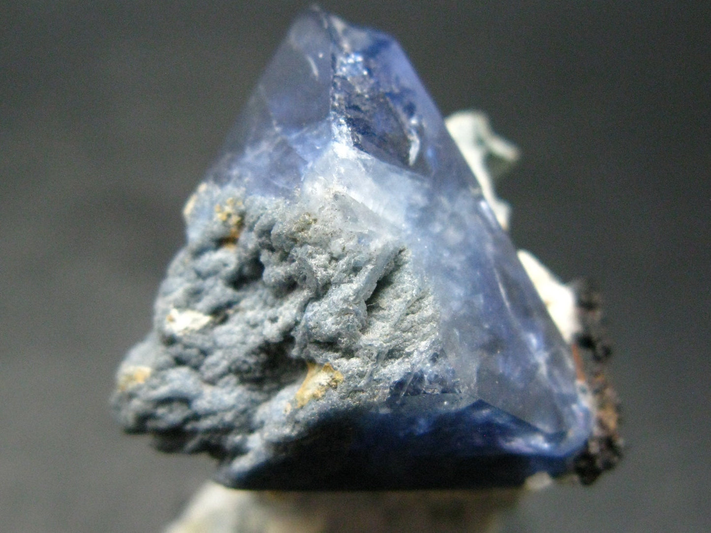 Benitoite and Neptunite on Natrolite Cluster From California - 1.7"