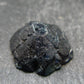 Stunning Alexandrite Chrysoberyl Polished Crystal From Zimbabwe - 16.20 Carats - 0.6"