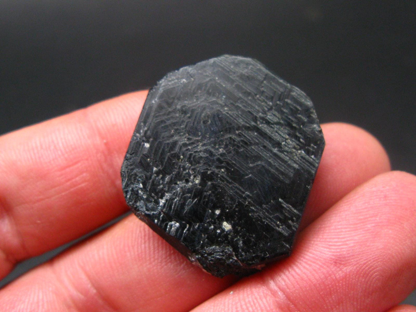 Rare Sapphirine Crystal From Madagascar - 1.3"