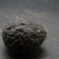 Colombianite Pseudotektite from Colombia - 25.60 Grams - 1.2"