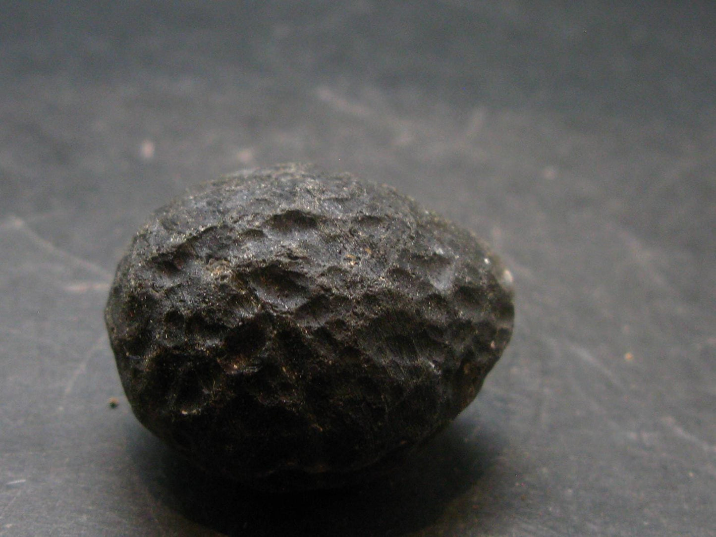 Colombianite Pseudotektite from Colombia - 25.60 Grams - 1.2"