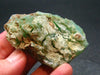 Rich Green Chrysoprase From Australia - 2.3"