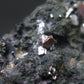 Sperrylite Crystals On Matrix From Norilsk Russia - 1.5" - 10+ Crystals
