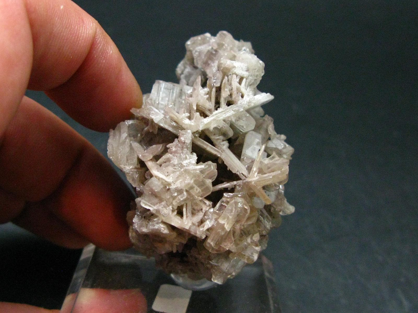 Cerussite Cerusite Crystal From Namibia - 2.3" - 154 Grams