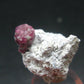 Rare Gem Bixbite Red Emerald Beryl Cluster From Utah USA - 1.1" - 4.77 Grams