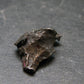 Sikhote Alin Meteorite From Russia - 4.44 Grams - 0.7"