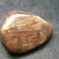 Rare Bustamite Tumbled Stone from South Africa - 1.1" - 12.71 Grams