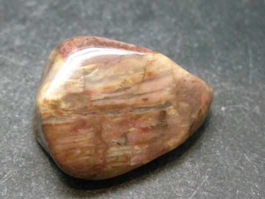 Rare Bustamite Tumbled Stone from South Africa - 1.1" - 12.71 Grams