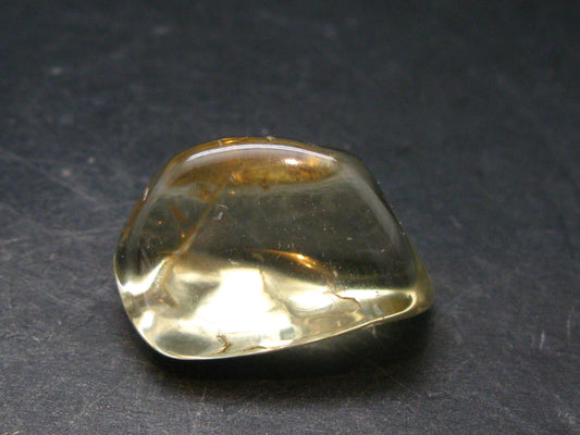 Bytownite Golden Labradorite Tumbled Stone From Mexico - 1.1" - 64.05 Carats
