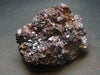 Cuprite Cluster From Russia - 2.7"