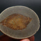 Glendonite (Ikaite after Calcite) Crystal From Russia - 1.8" - 42.91 Grams