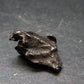 Sikhote Alin Meteorite From Russia - 4.44 Grams - 0.7"