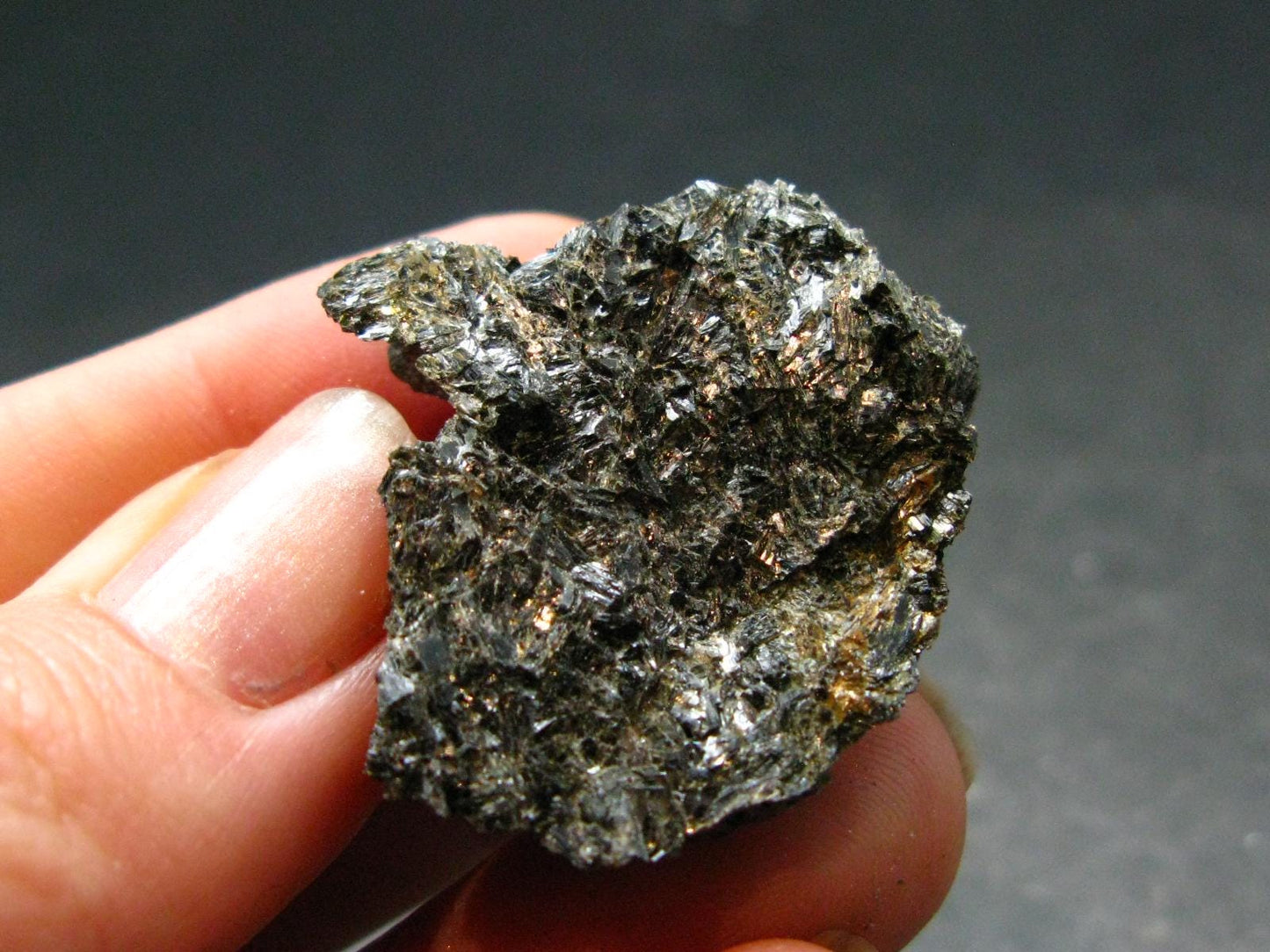 Rare Nuumite Nuummite Raw Piece From Greenland - 11.74 Grams - 1.1"