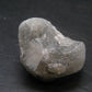 Phenakite Phenacite Crystal from Russia 16.16 Grams
