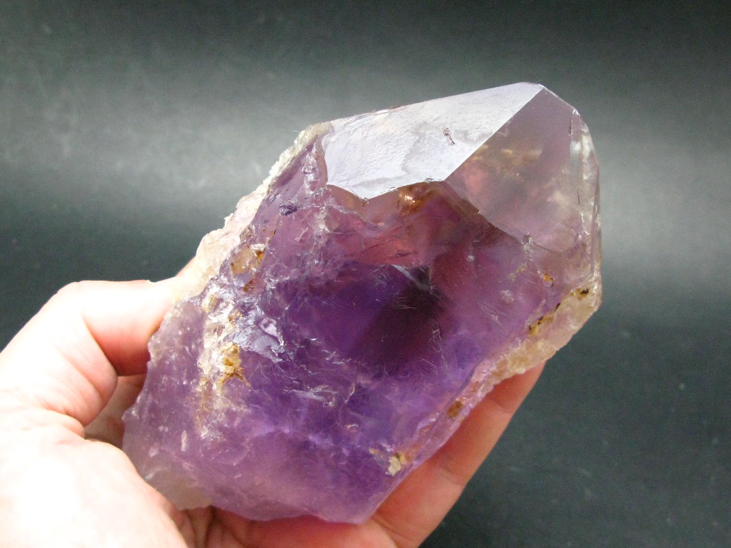 Rare Ametrine (Amethyst + Citrine) Crystal From Bolivia - 5.3"