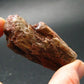 Cacoxenite Amethyst Crystal From Brazil - 2.1" - 30.88 Grams