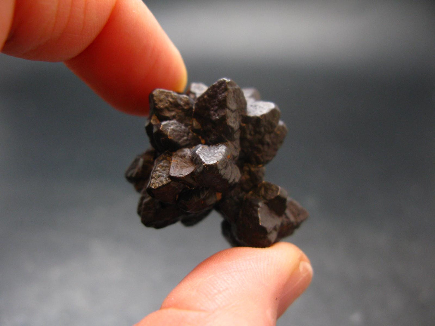Very rare Z-Stone (Limonite after Marcasite) from Sahara Dessert, Egypt - 1.2" - 22.56 Grams
