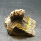 Pyritized Ammonite Fossil On Pyrite Matrix From Russia 150 MYO - 1.4" - 56.69 Grams