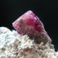 Rare Gem Bixbite Red Emerald Beryl Cluster From Utah USA - 1.1" - 4.77 Grams
