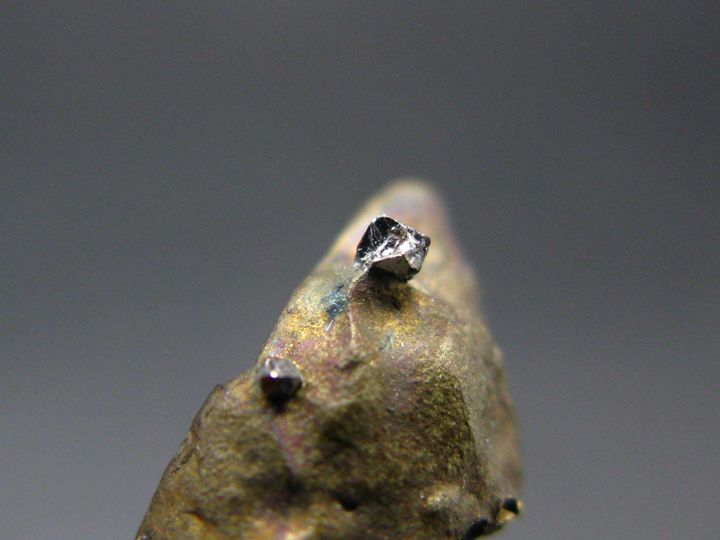 Sperrylite Crystal On Matrix From Russia - 0.6" - 1mm Crystal