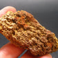 Wulfenite Cluster From Arizona - 2.3"