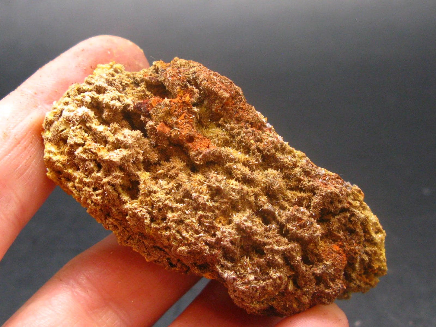Wulfenite Cluster From Arizona - 2.3"